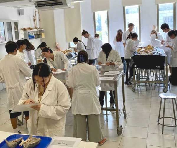 Actividades académicas de Medicina