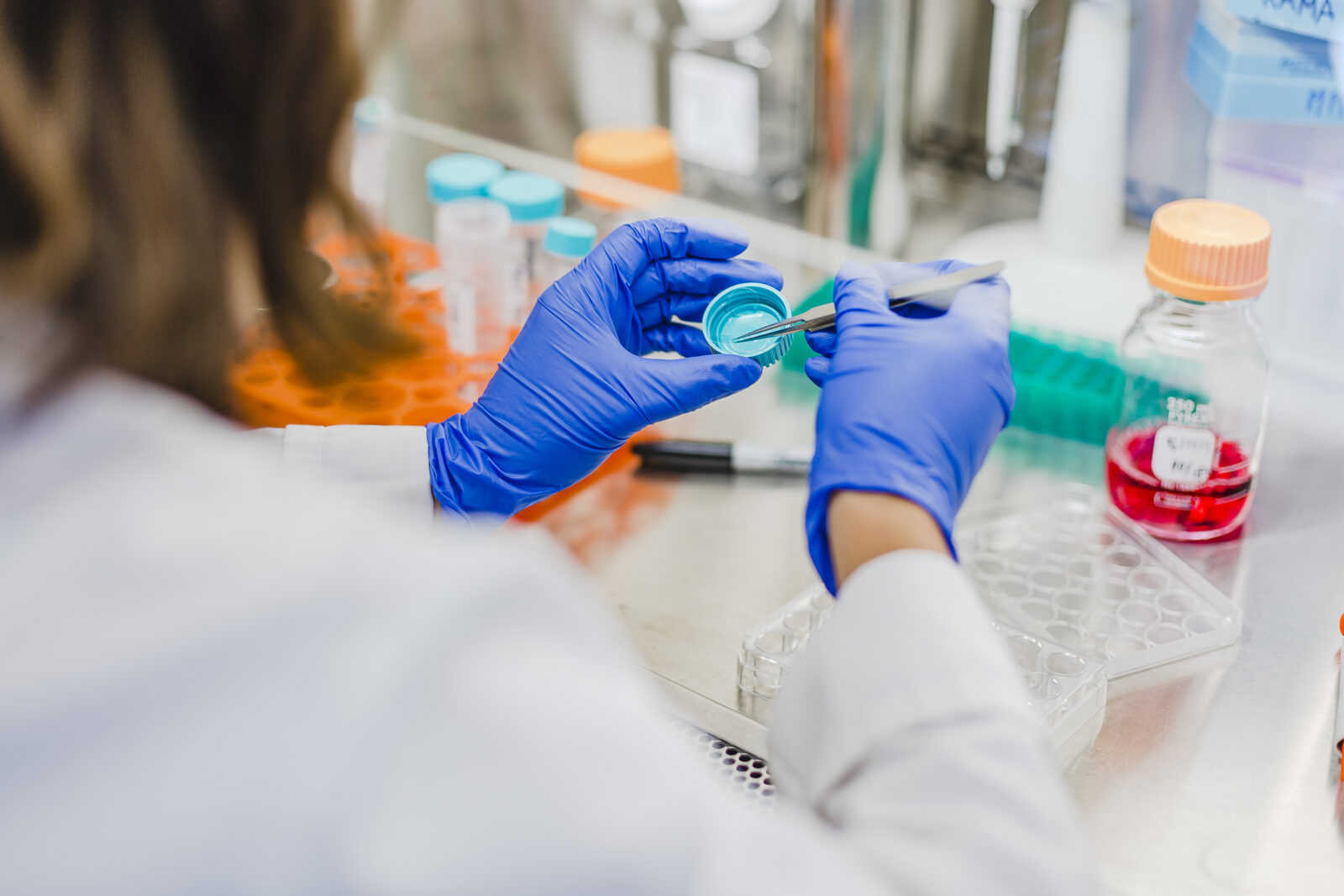 Instituto de Investigación, Desarrollo e Innovación en Salud (IIDIS)